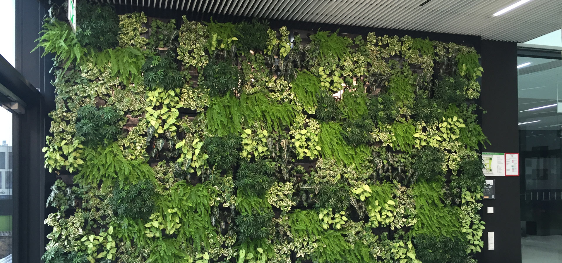 Gartenhof Küsters GmbH - Indoor-Wandbegrünungen