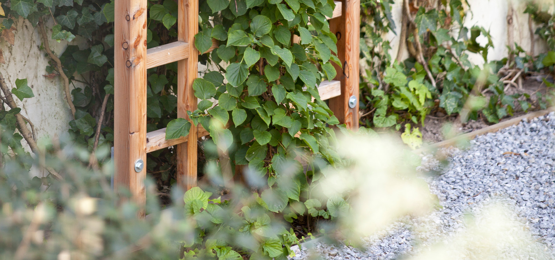 Gartenhof K�sters - Privatgarten D�sseldorf I