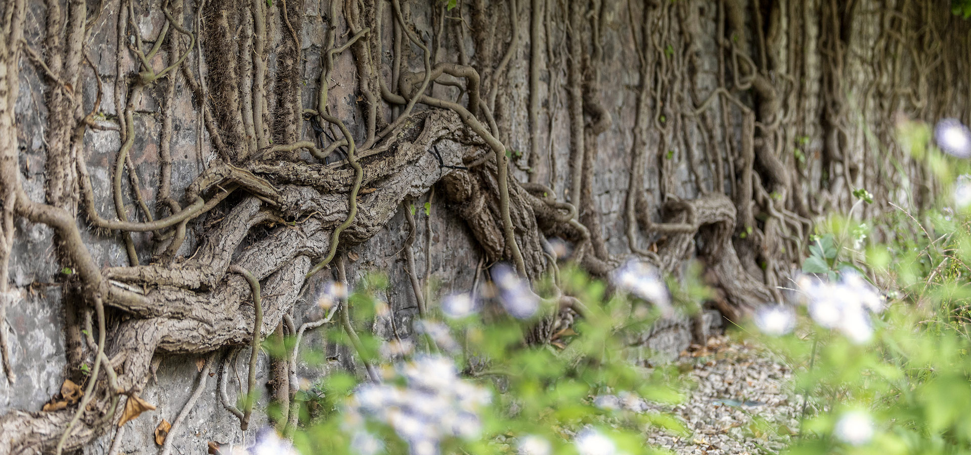 Gartenhof K�sters - Privatgarten D�sseldorf VIII