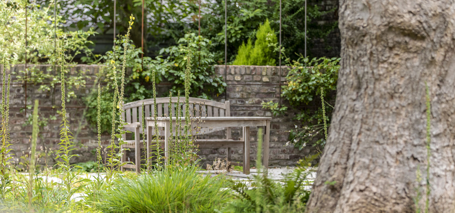 Gartenhof K�sters - Privatgarten D�sseldorf VIII