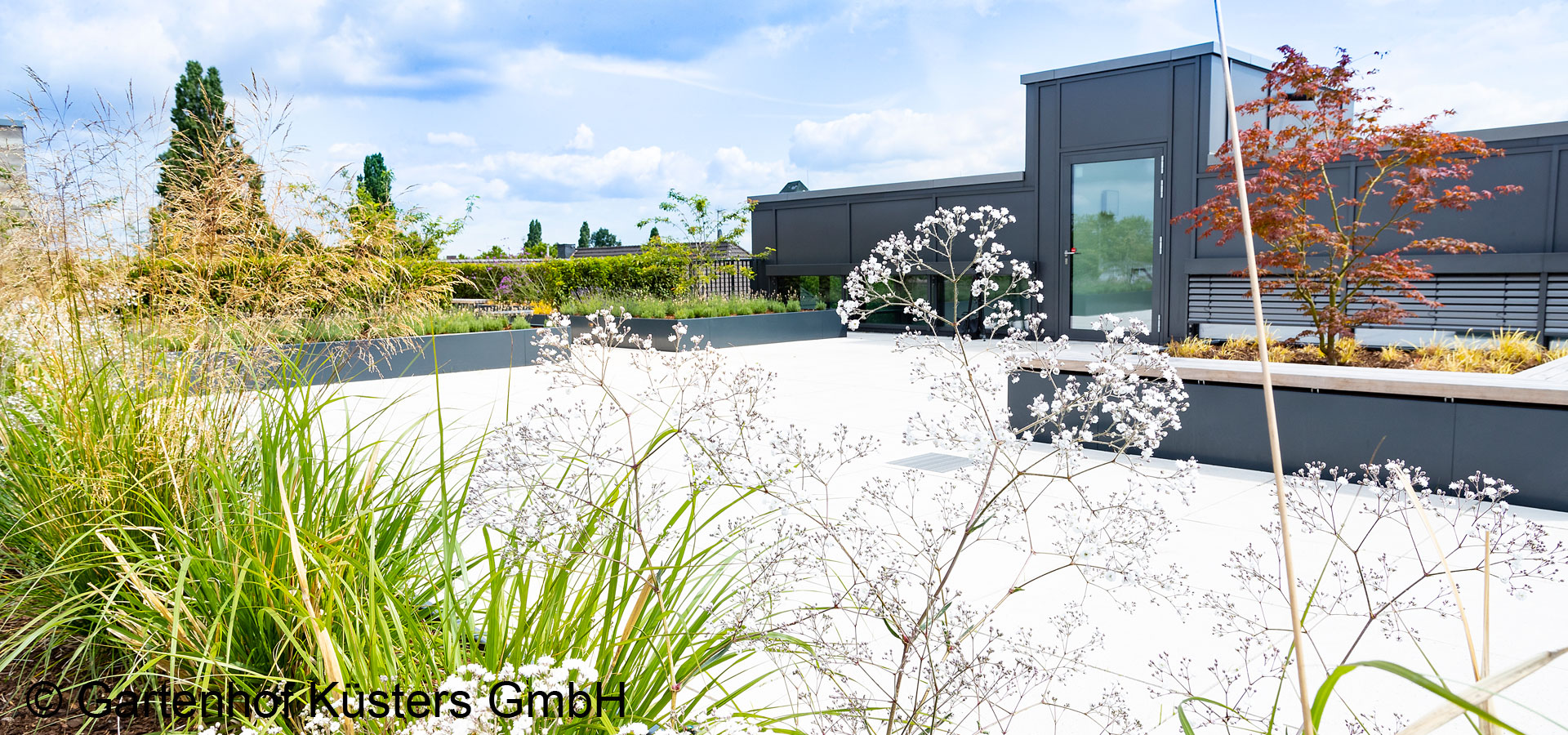 Gartenhof Ksters - Dachbegrnung Kln