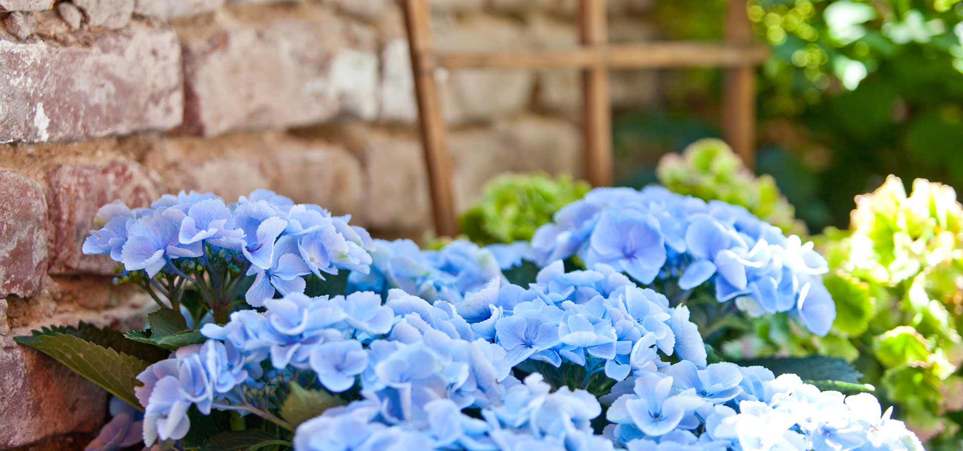 Gartenhof K�sters - Privatgarten D�sseldorf III